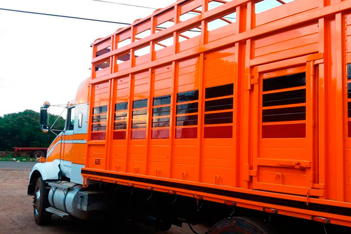 Servicios y productos